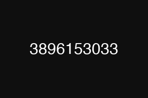 3896153033