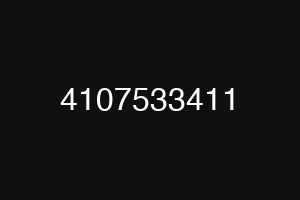 4107533411
