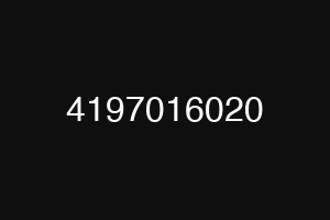 4197016020