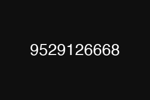 9529126668