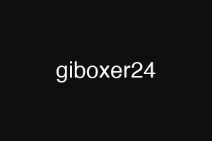 giboxer24