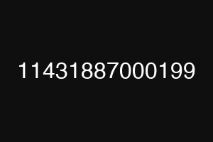 11431887000199