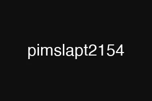 pimslapt2154