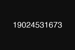 19024531673
