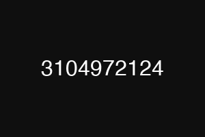 3104972124