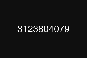 3123804079