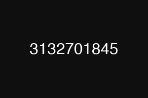 3132701845