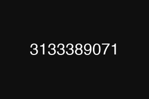 3133389071