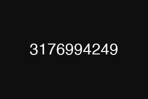 3176994249