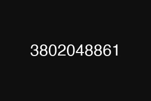 3802048861