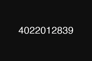 4022012839