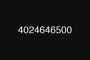 4024646500