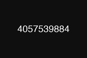 4057539884