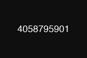 4058795901
