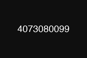 4073080099