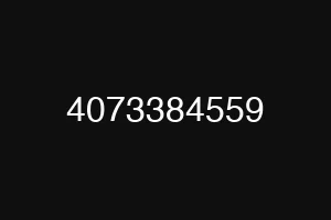 4073384559