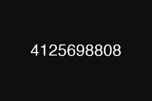 4125698808