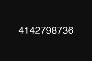 4142798736
