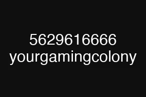 5629616666 yourgamingcolony